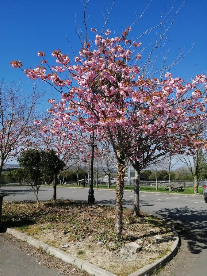 Garristown Tara View Apartments מראה חיצוני תמונה